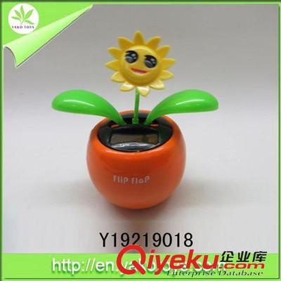 阳光下的舞者 太阳能摇摆向日葵，让爱与美好常伴左右
